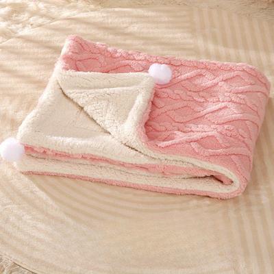 TEMU Thickened Pet Blanket, Warm Soft Comfortable Dogs Cats Plush Blanket Thickened Warm Pet Sleeping Mat Pet Supplies Pet Blanket