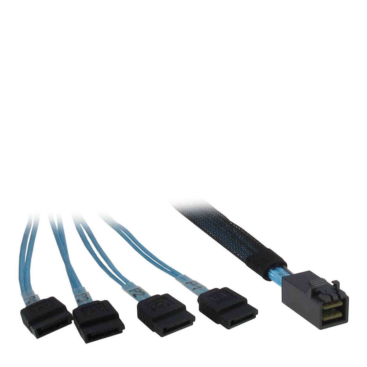 Inter-Tech 0.5m SFF 8643/4x SATA, 0,5 m, SFF 8643, 4x SATA, Männlich/Männlich, Schwarz, Blau, 35 g Image