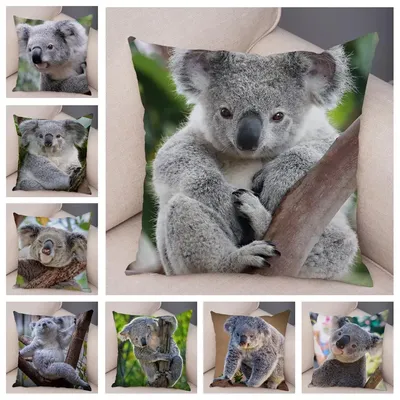 Schlafzimmer Wohnzimmer Dekor Kissen bezug niedlichen australischen Koala Kissen bezug Wildlife Pattern Print Image
