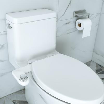 Randolph Morris Fluxis Modern Cold Water Bidet Attachement for Toilet RMXR-B8808