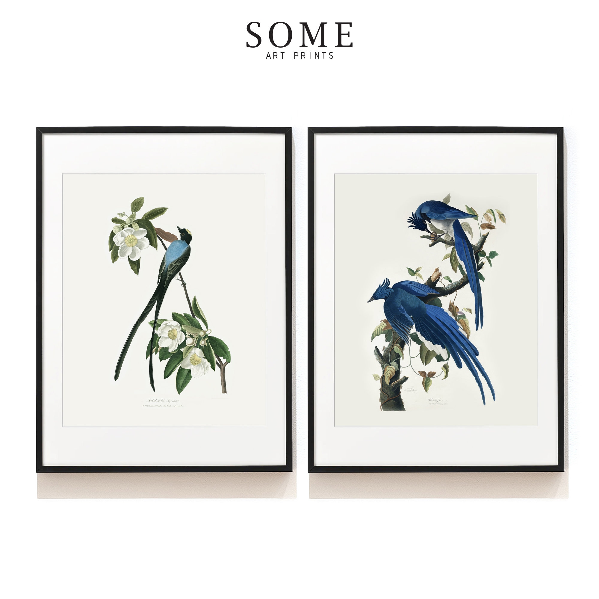 Set di 2 stampe di uccelli Audubon. Stampe d'arte vintage con uccelli blu. Regalo per gli amanti degli uccelli. Stampe botaniche. Set con stampa di uc