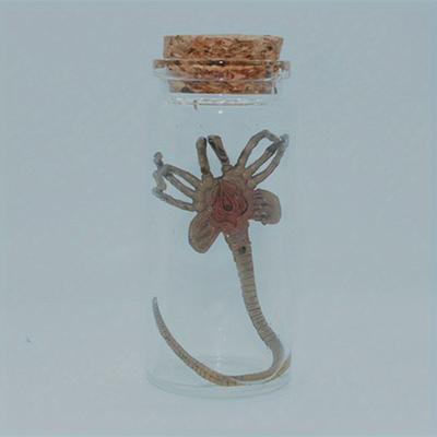 TEMU 1pc Facehugger Replica In Jar - Decorative Movie Statue For Display, No Required,