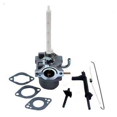 Dolaso - Vergaser für Briggs & Stratton 796122 794593 20A Image