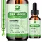 BEWORTHS Organic Seamoss Drops with Burdock Root and Spirulina Support Immunity and Gut Health, Help