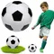 Size 5 Machine Stitched Football Waterproof Match Training Football PVC Outside Sport Football for