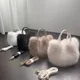 Elegante Faux Pelz frauen Handtaschen Winter Weiche Plüsch Damen Schulter Tasche Pelzigen Kleine Messenger Taschen Einfarbig Weibliche Tote geldbörse