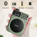 Mini radio FM digitale Display HD Radio 76-108 mhz Altoparlante wireless Bluetooth 5.3 Amplificatore vocale portatile con slot USB per scheda TF