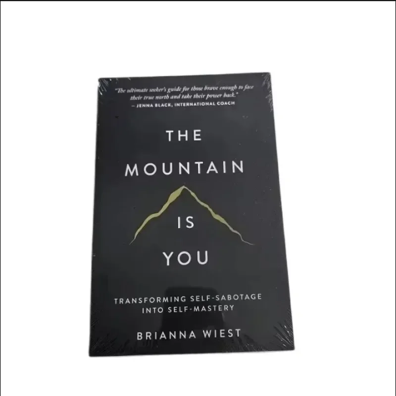 The Mountain Is You: Transforming Self-Sabotage in Self-Mastery Englisch Bücher Geburtstagsgeschenke Image