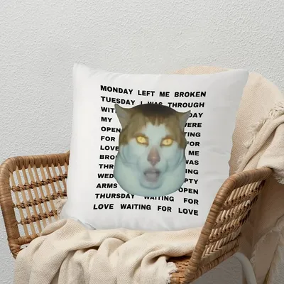 1pc Meme Monday Left Me Broken Cat Muster Kissenbezug Weihnachten Weihnachtsgeschenk Quadratisches Image