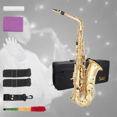 Student Alto Eb E-flat SAX Saxophone Gold Lacquer SAX Beginners Kit with Case, Reeds, Mouth Piece,