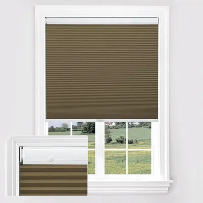 Window+Blinds