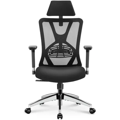 Ticova Ergonomic Office Chair - High Back Desk Chair with Adjustable Lumbar Support, Headrest & 3D