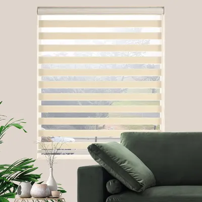 Window+Blinds