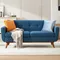 65" W Love Seat Sofa, Mid Century Modern Decor Loveseat Couches for Living Room, Button Tufted