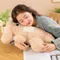 Dog Body Pillow Cute Puppy Plush Toy Puppy Toys For Kids Stuffed Animal Dog Animal Toys Comfortable