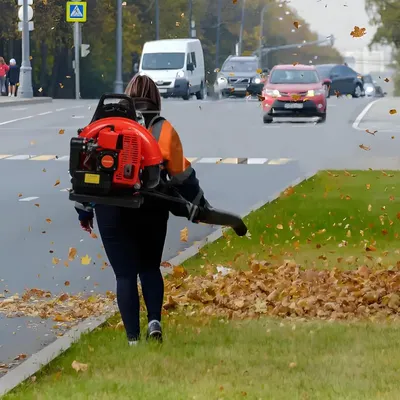 Backpack Leaf Blower, 63CC Gas Powered Leaf Blower, 665CFM 2-Stroke Snow Blower, Long Pipe, 1.7L
