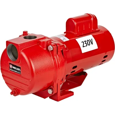 RL-SPRK200 230 Volt, 2 , 76 GPM Cast Iron Sprinkler/Irrigation Pump with Thermoplastic Impeller