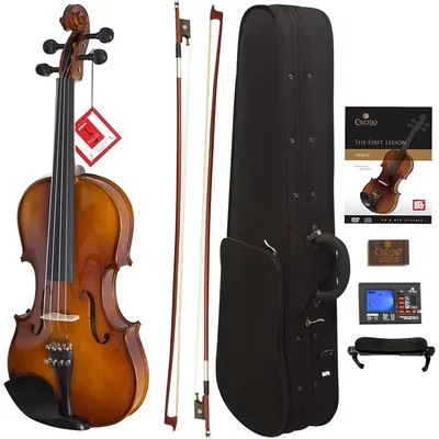 Solidwood Ebony Fitted Violin with D'Addario Prelude Strings, Size 4/4 (Full Size)