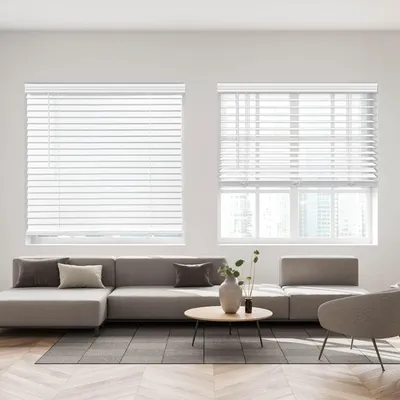 Window+Blinds