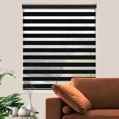 Window+Blinds