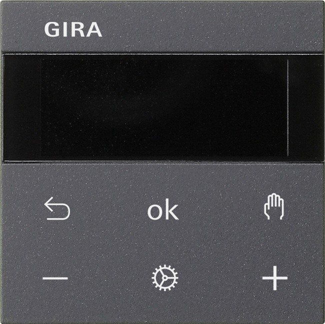 Gira RTR Display 539328 Image