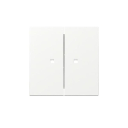 Gira Wippe 2f Kontrollf. 363127 Image