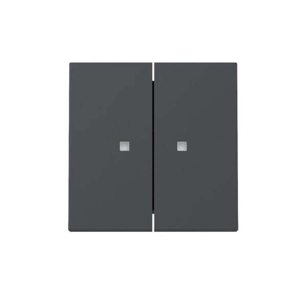 Gira Wippe 2f Kontrollf. 363128 Image