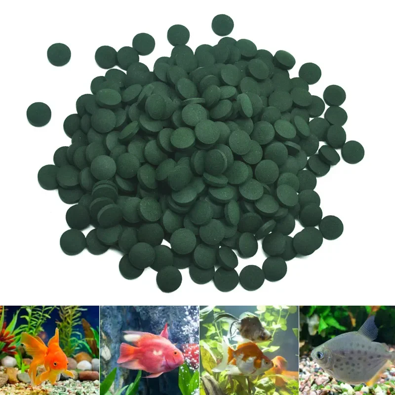 100 pièces comprimés de spiruline enrichissement nourriture pour animaux de compagnie préférée poisson cristal rouge crevettes nourriture pour animaux de compagnie