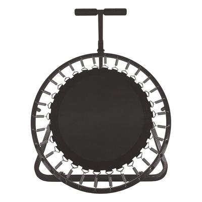 Champion Sports Medicine Ball Rebounder, 36