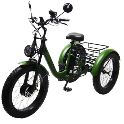Leistungsstarkes Man Fat Tire Elektrofahrrad 24 Zoll 7 Gang Snow Mountain 3-Rad-Elektro-Lastenfahrrad mit abnehmbarer Batterie