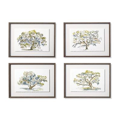Spanish Moss Giclee Prints - Print IV - Frontgate