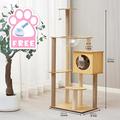 Albero per gatti da 62 pollici/casa e torri per gatti di grandi dimensioni/albero per arrampicata per gatti con cuccia per gatti/albero per gatti con tiragraffi/albero per gatti di grandi dimensioni