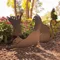 Tiki - Piquets de jardin de famille de chat inspirés décoratifs - Charmant statues extérieures de silhouette décorative de jardin de chat pour cour
