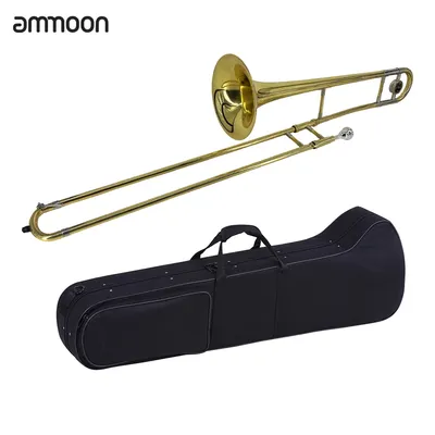 Alto Trombone Brass Gold Lacquer Bb Tone B flat Wind Instrument with Cupronickel Mouthpiece Case