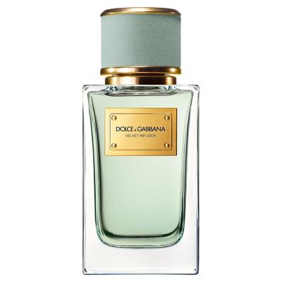 Dolce&Gabbana Velvet Collection The Infusion Eau de Parfum 100 ml unisex Image