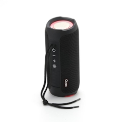 Qivee Lautsprecher Bluetooth Musikbox Tragbarer Radio Subwoofer Soundbox Soundstation