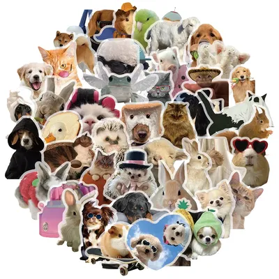 50 Stück Tieraufkleber, niedliche Cartoon-kreative Handyhüllen, Computer-Handbücher, Aufkleber Image
