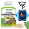 Tecepec Chanca Piedra Supplement 1600 Mg – Balances Urinary and Gallbladder Health, Promotes