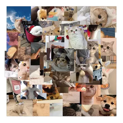 48PCS süße Katze Hund Meme Graffiti Aufkleber für Laptop Telefon Snowboard Gepäck Kühlschrank DIY Aufkleber Image