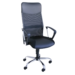 Wellhome Bürostuhl aus Metall und Kunstleder 62x70x110 cm Image