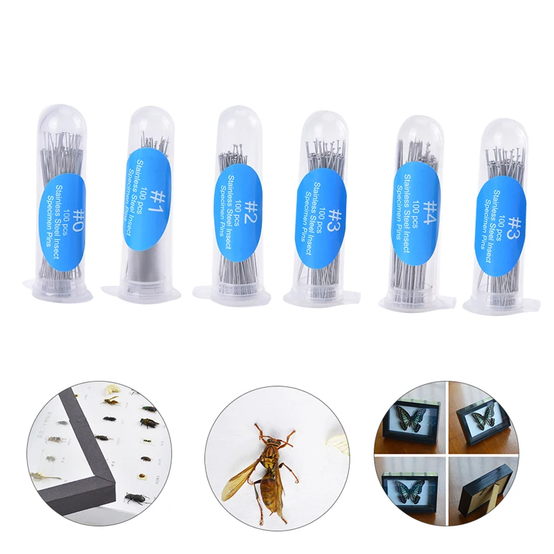 100 Stück/Packung Edelstahl Insekten stift 4cm Proben nadel mit Schlauch für Entomologie Körper dissektion Insekten nadel Image