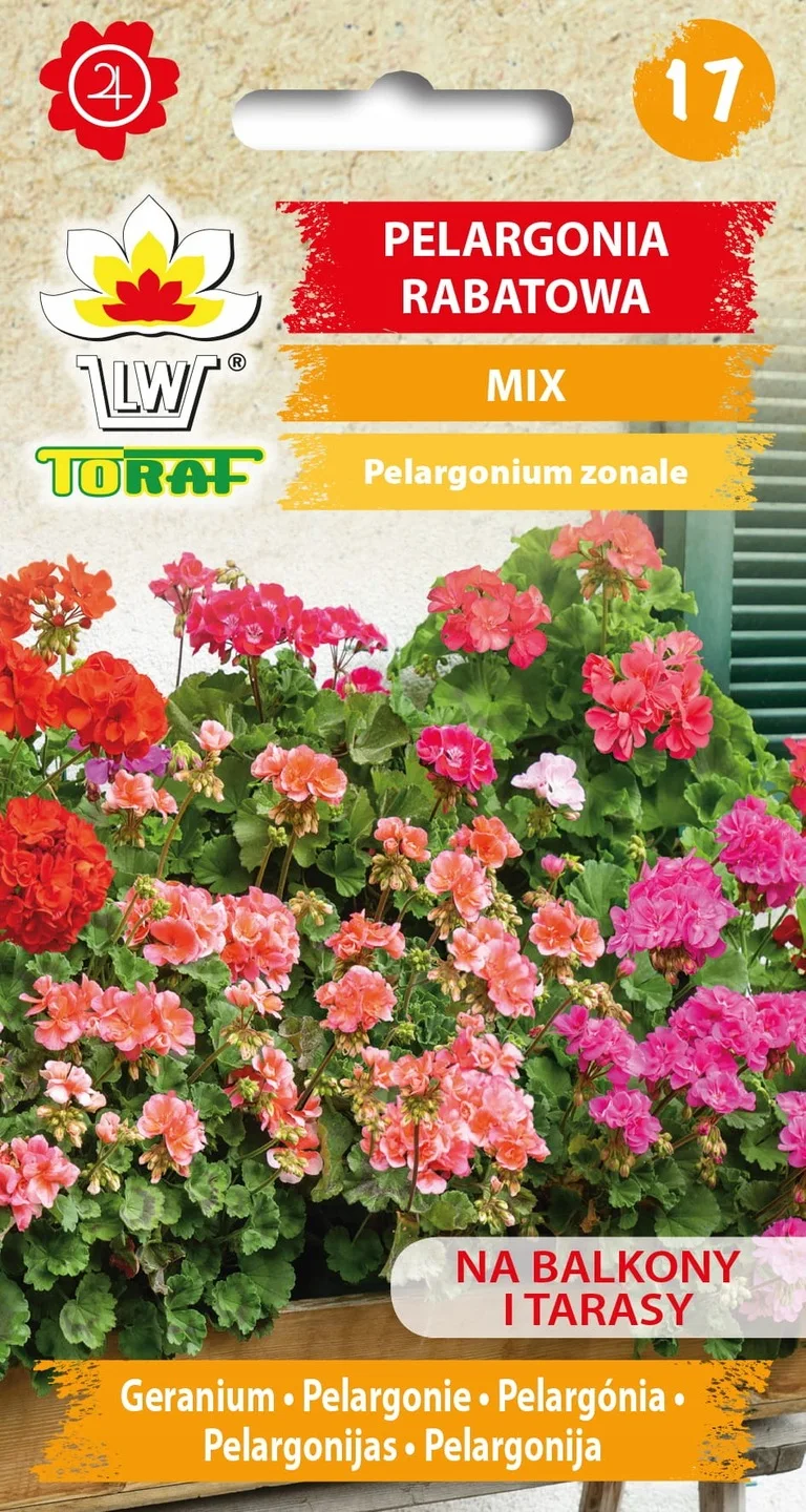 Blow Pelargonium Mix 25-tlg. (Samen) Blumensamen für Hausgarten, Terrasse, Blumen Image