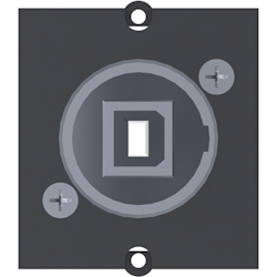 BACHMANN Rahmen 1xUSB 2.0 B/A BCM-9 Image