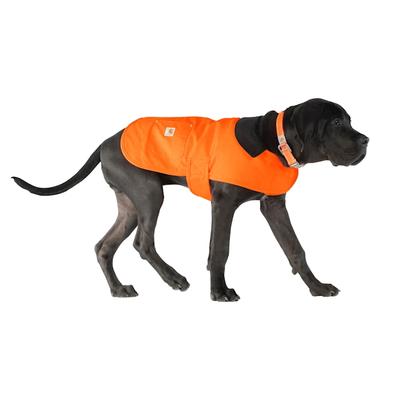 Carhartt Firm Duck Insulated Dog Chore Coat, Medium, Hunter Orange