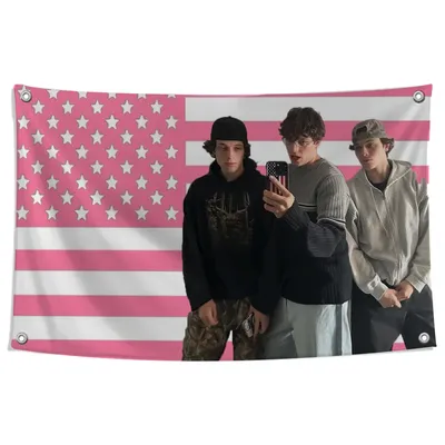 Sturniolo T-Triplets Flag Home Decor Tapestry Flag to Hang Cartoon Garden Personalized Items Flags