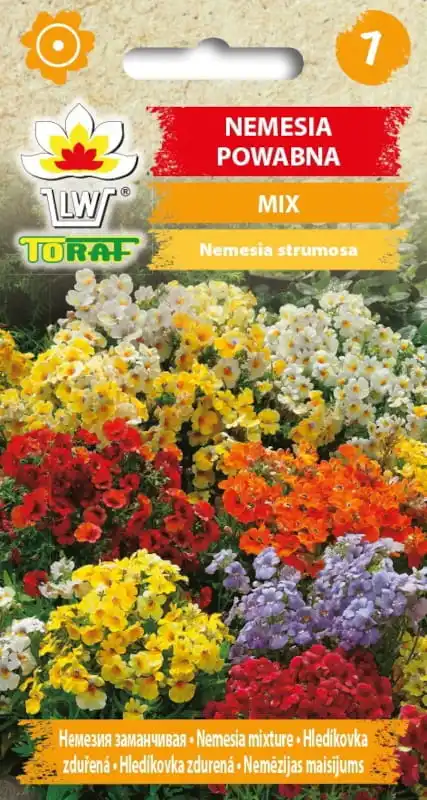 Nemesia guter Blumensamenmischung für Haus- und Gartenterrassenblumen Image