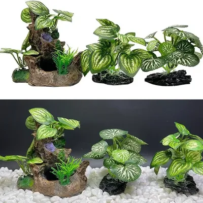 Flowers+Plants