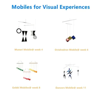 Montessori Mobile Set Baby Toys for Visual Experiences Early Childhood Education Game Girl Boy