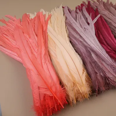 Rooster Feathers Wholesale 35-40cm 40-45cm Handicraft Crafts DIY Natural Feather Handwork Party