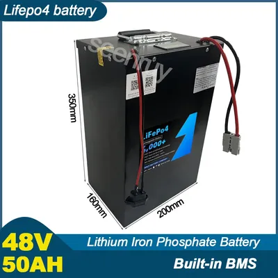 48V 50AH Lifepo4 With Charger 30A 50A 80A 100A 120A Lithium Iron Phosphate Battery For Bike RV